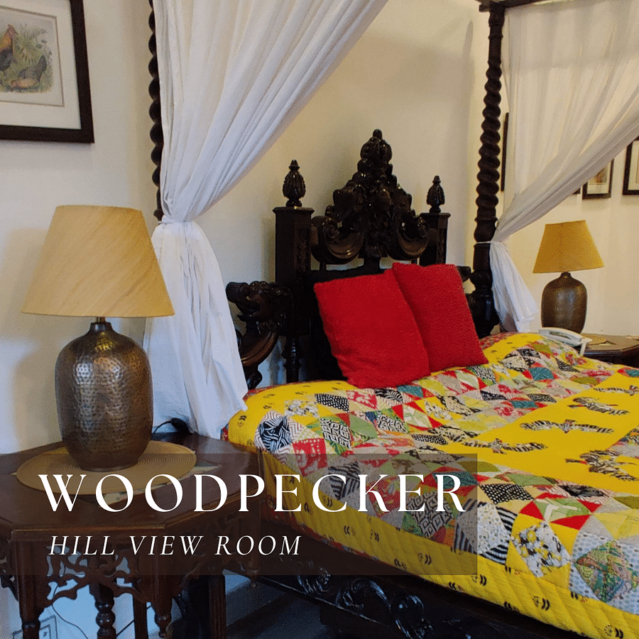 A bed with a colorful quilt and pillows - Woodpecker Hill View Room.